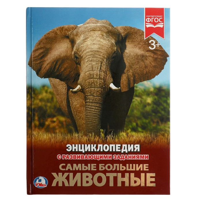 Энциклопедия А4. Самые большие животные (тв.переплет. 130г)
