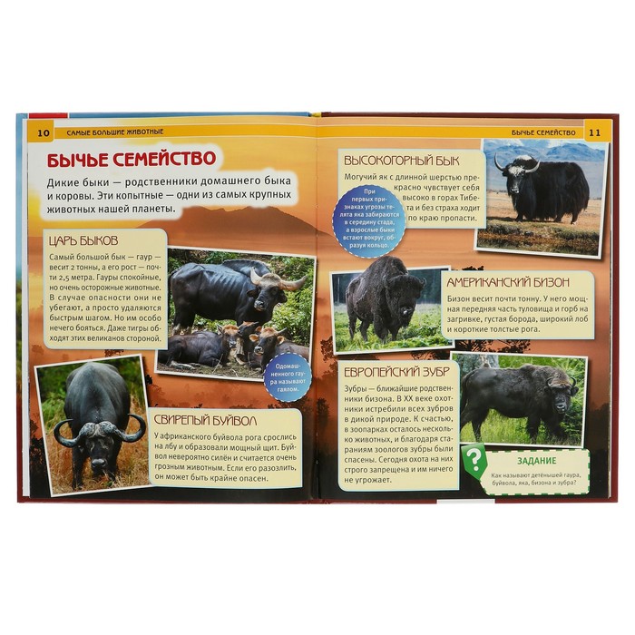 Энциклопедия А4. Самые большие животные (тв.переплет. 130г)