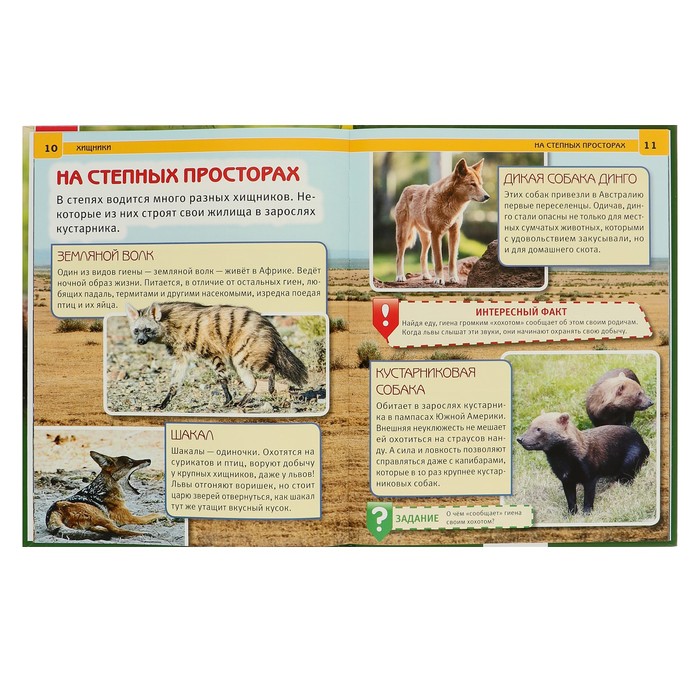 Энциклопедия А4. Хищники (тв.переплет. 197х255мм) 48 стр.