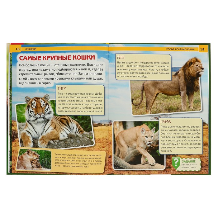 Энциклопедия А4. Хищники (тв.переплет. 197х255мм) 48 стр.