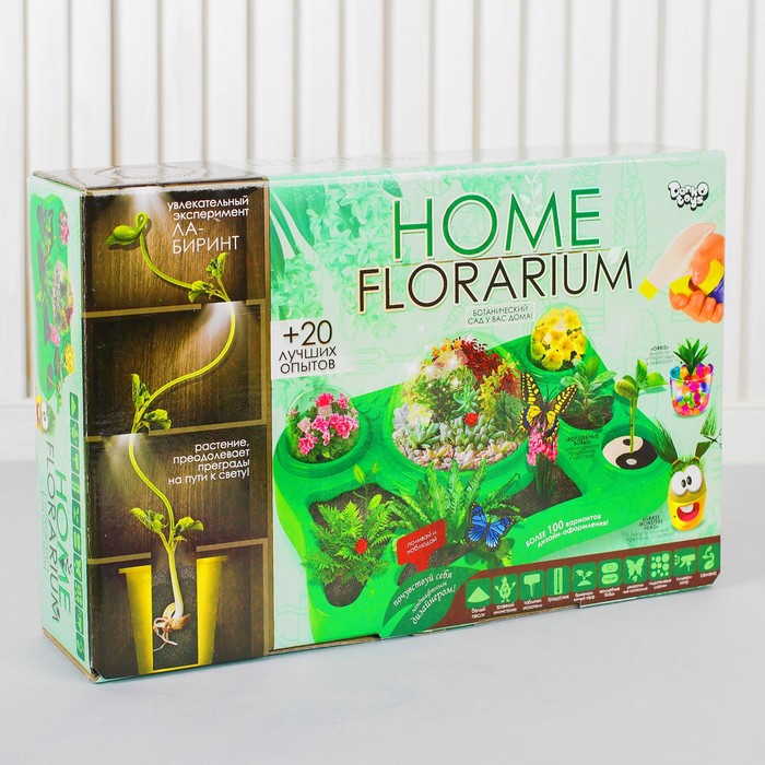 Сад отзывы. Home florarium набор. Набор по выращиванию лягушек. Эко сад интернет магазин. Набор для выращивания лягушат.