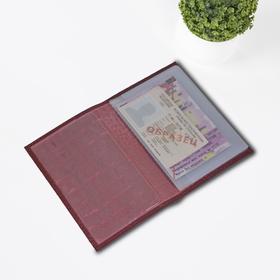 

Обложка для автодокументов, размер 13,6 х 9,8 см, цвет красный кайман