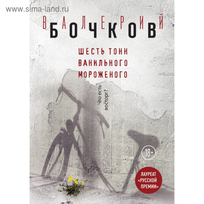 

РискИгБочк. Шесть тонн ванильного мороженого. Бочков В.Б.