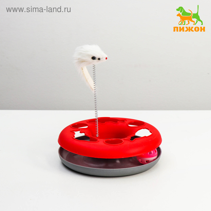 Игрушка для кошек Загадочный круг - Рыбки мышь на пружине и шарик 23 х 7 см микс 501₽