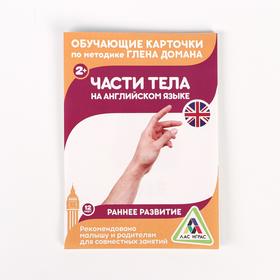 

Обучающие карточки по методике Г. Домана «Части тела на английском языке», А6