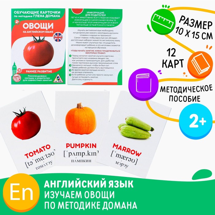 Обучающие карточки по методике Г. Домана Овощи на английском языке, 12 карт, А6