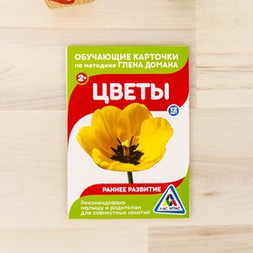

Обучающие карточки по методике Г. Домана «Цветы», 12 карт, А6