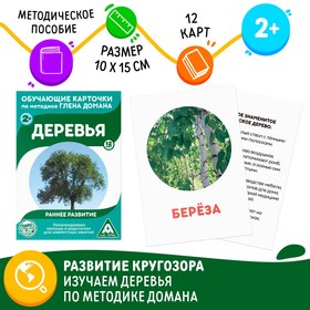 Обучающие карточки по методике Г. Домана «Деревья», 12 карт, А6 Ош