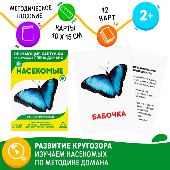 Обучающие карточки по методике Глена Домана «Насекомые», 12 карт, А6, 2+