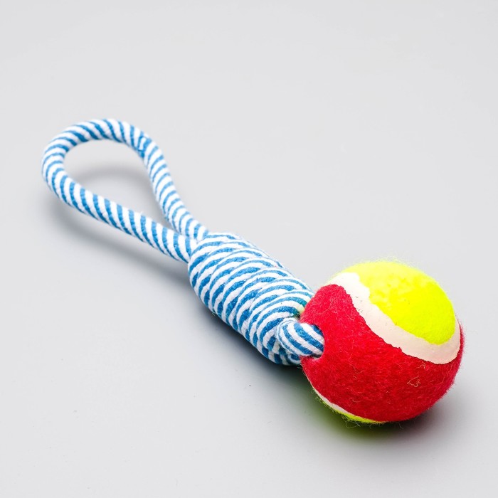 фото Игрушка канатная плетёная с мячом, до 130 г, до 33 см, микс цветов пижон