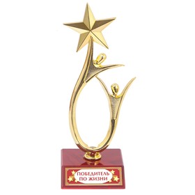 Кубок «Победитель по жизни», наградная фигура, золото, пластик, 18 х 6 см.