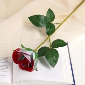 Цветы искусственные 'Роза Аква' 5*40 см, малиновый Ош