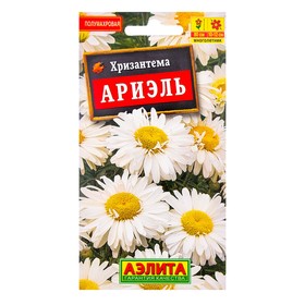 Семена  цветов Хризантема 'Ариэль', Мн, 0,1 г Ош