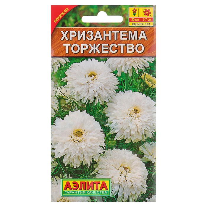 Семена Хризантем Купить В Интернет Магазине