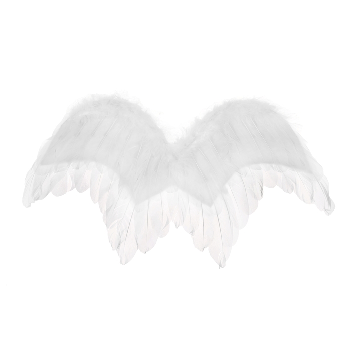 Крылья ангела 51*26