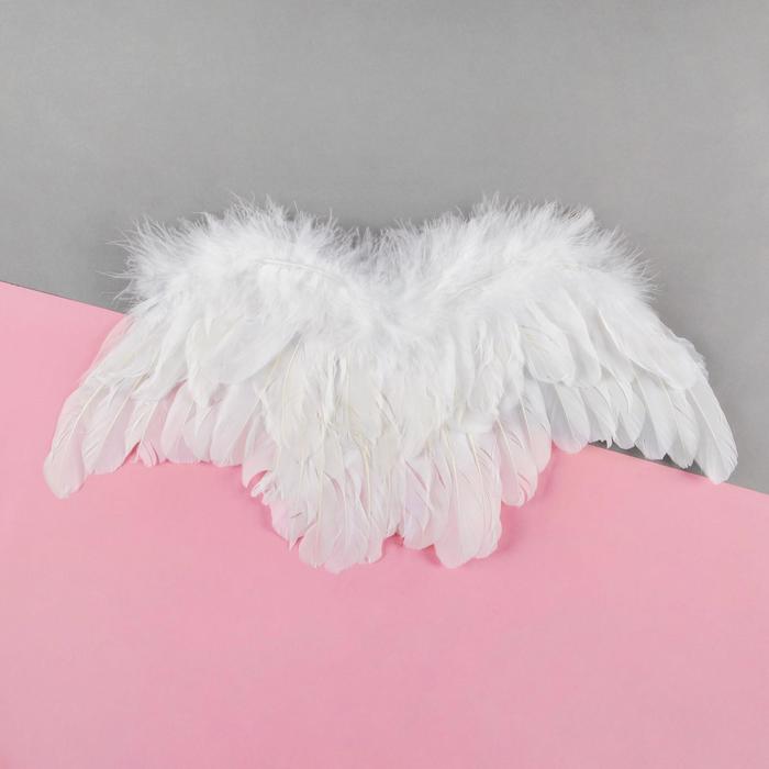 фото Крылья ангела, 55×3 см0, цвет белый страна карнавалия