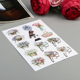 

Наклейка бумага "Цветущий сад" 14,8х21 см