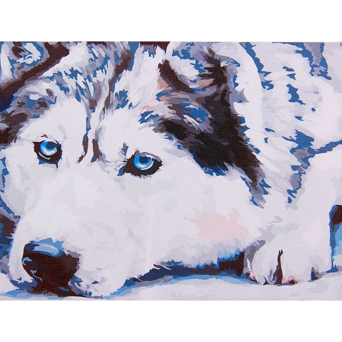 Роспись по холсту "Хаски", 40 х 30 см