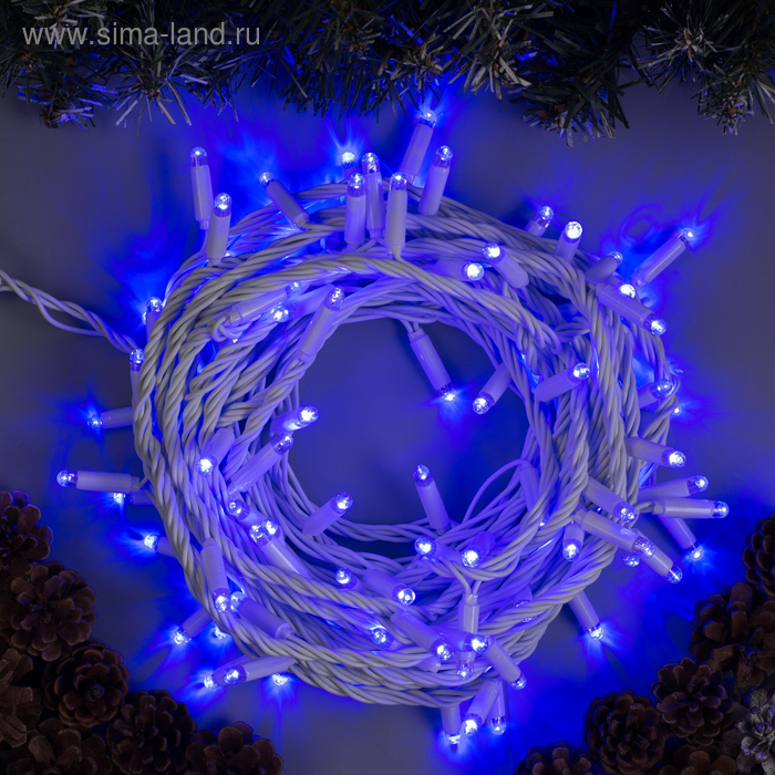 

Гирлянда «Нить» 10 м, IP65, УМС, белая нить, 100 LED, свечение синее, 220 В