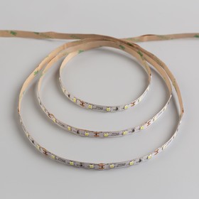

Комплект светодиодной ленты TDM, SMD2835, 60 LED/м, 4.8 Вт/м, 12 В, IP20, 6000 К, 1 м