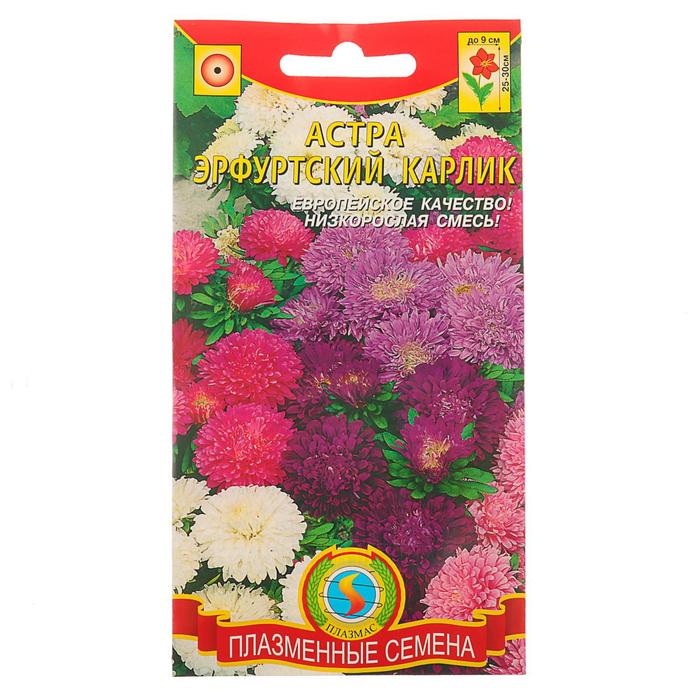 

Семена Астра "Эрфуртский карлик", смесь, 0,2 г