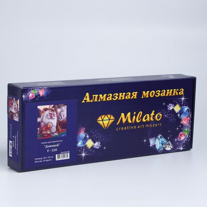 

Алмазная мозаика «Домовой» 30 × 30 см, 34 цвета