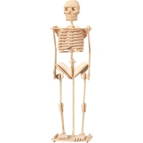 3D-модель сборная деревянная Чудо-Дерево «Скелет человека»