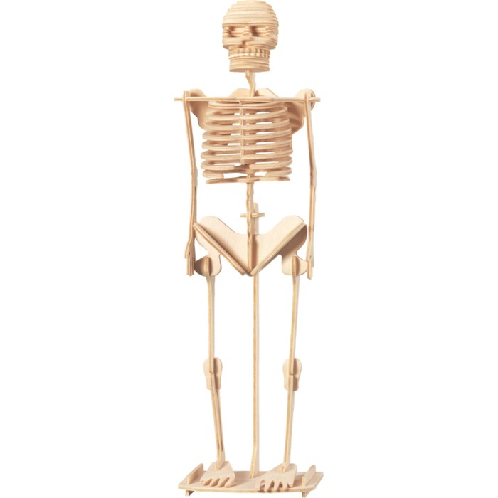 3D-модель сборная деревянная Чудо-Дерево «Скелет человека»