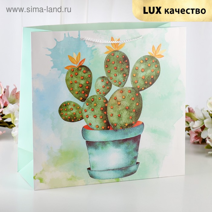 

Пакет ламинированный "Бон пари", люкс, 31 х 12 х 33 см