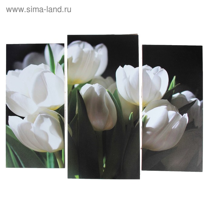Модульная картина Белые тюльпаны (2-25х52; 1-30х60) 60х80 см модульная картина кофе с кексами 2 25х52 1 30х60 60х80 см