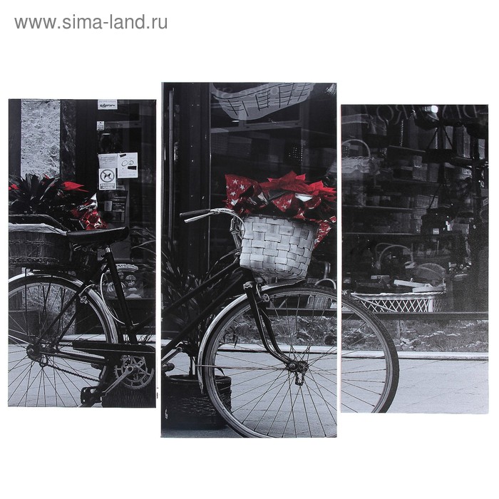 Модульная картина Чёрно-белый велосипед (2-25х52; 1-30х60) 60х80 см