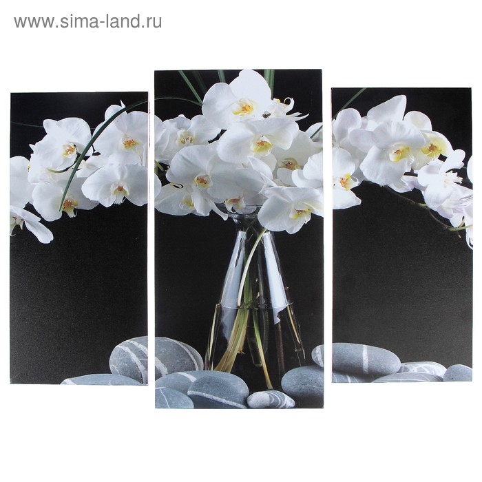 Модульная картина Орхидеи в вазе (2-25х52; 1-30х60) 60х80 см модульная картина сирень в вазе 2 25х50 30х60 см 60х80 см