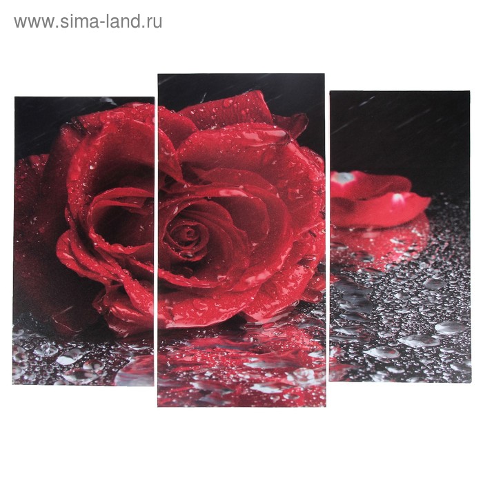Модульная картина Роза под дождём (2-25х52; 1-30х60) 60х80 см