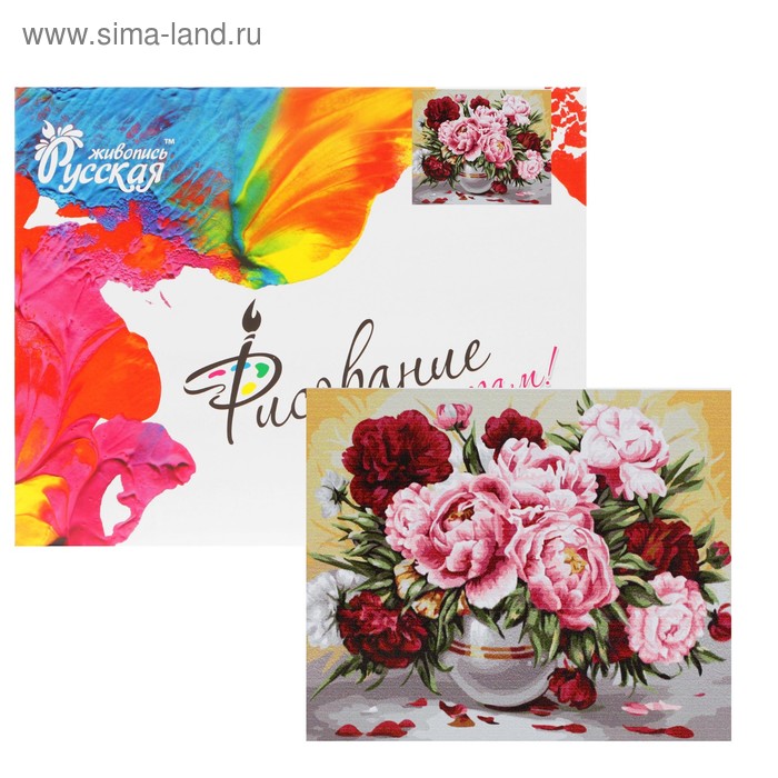 Картина по номерам «Садовые пионы» 40 × 50 см, холст, 24 цвета