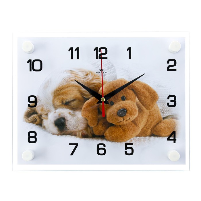 фото Часы настенные, серия: животный мир, "щенок и мишка", 20х26 см микс 21 век