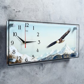

Часы настенные, серия: Животный мир, "Орёл", 50х20 см