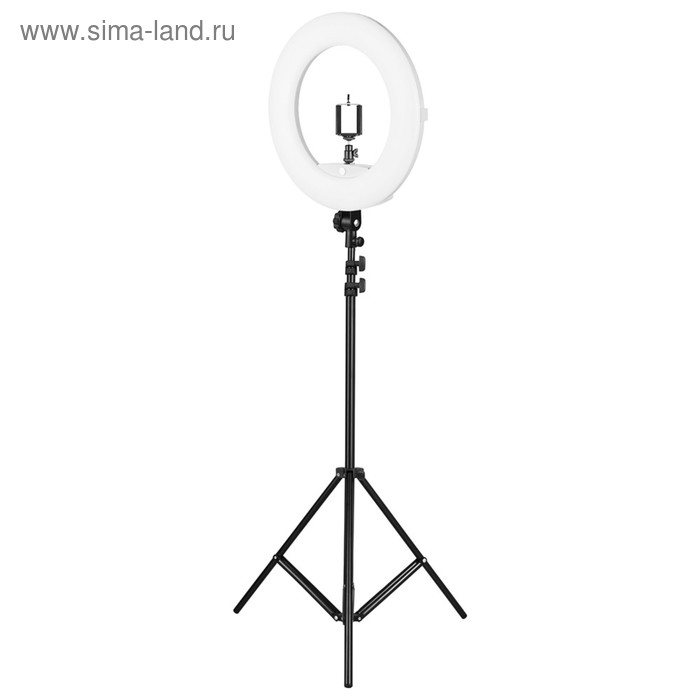 Кольцевая лампа OKIRA FD 480, 86 Вт, 480 светодиодов, d=46 см, + штатив, черная