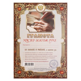 

Грамота "Мастер Золотые руки"