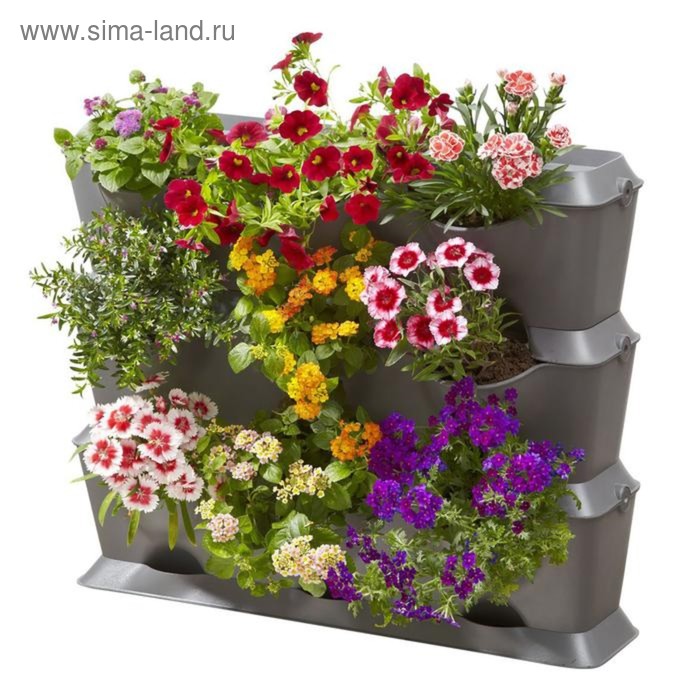 

Фитомодуль для садоводства, горизонтальный: 3 ёмкости, 3 крышки, 1 поддон, 12 клипс