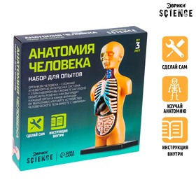 Научный опыт «Анатомия человека» Ош