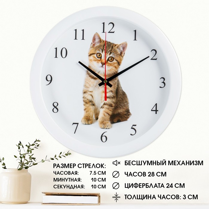 фото Часы настенные, серия: животный мир, "котенок", плавный ход, d=28 см соломон