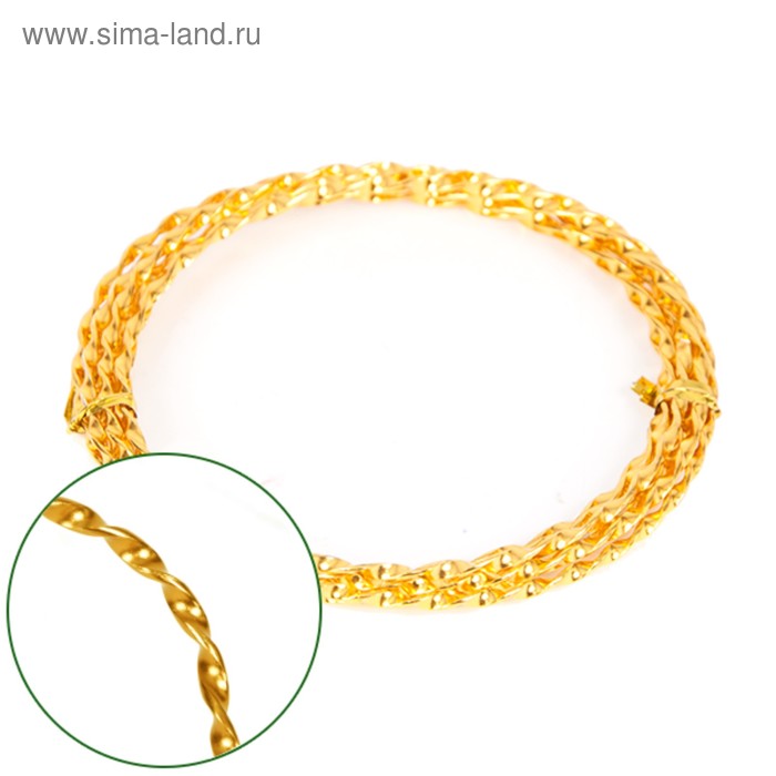 Проволока декоративная «Спираль» 2 мм х 2 м, 15 г, золотая
