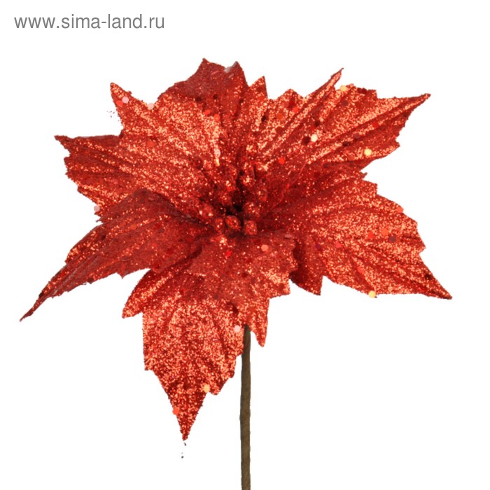 Пуансетия «Звезда» 18 х 18 см, красный