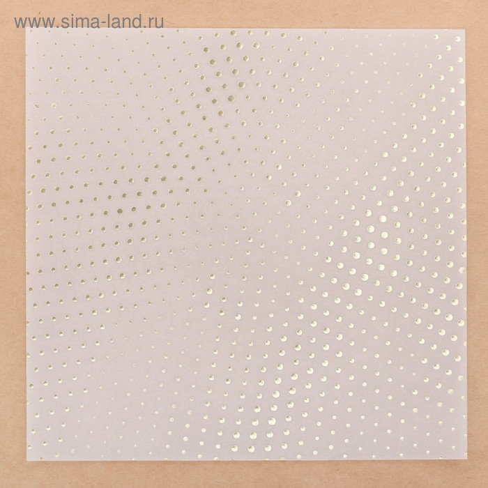 Калька для скрапбукинга с фольгированием «Вдохновение» , 20 х 20 см