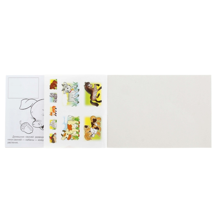 Раскраска с наклейками А5. "Мои первые уроки. Домашние животные"
