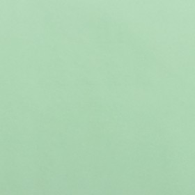 

Калька для цветов вощёная, цвет мята, 0,53 х 18 м