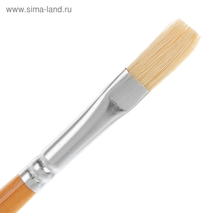 

Кисть "Сонет" № 6, щетина, плоская, длинная ручка, d=10 мм