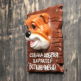 

Подвесной декор "Табличка на калитку добрая собака" 32х30х13см