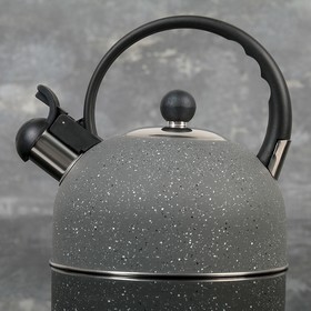 Чайник со свистком Доляна «Орион», 1,8 л, фиксированная ручка, цвет серый Ош
