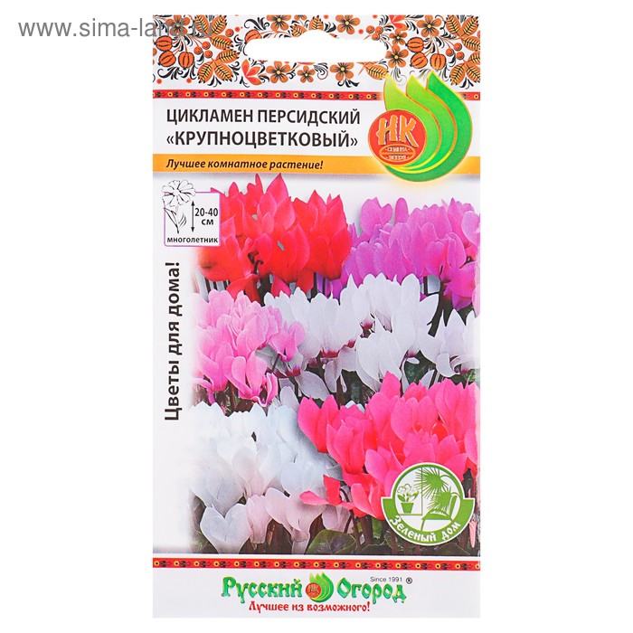 Семена комнатных цветов Цикламен Крупноцветковый, 5 шт. семена цикламен поиск персидский мини белый 2 шт